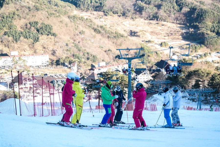 엠에스레포츠 이미지