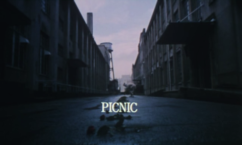 PICNIC(피크닉) 이미지
