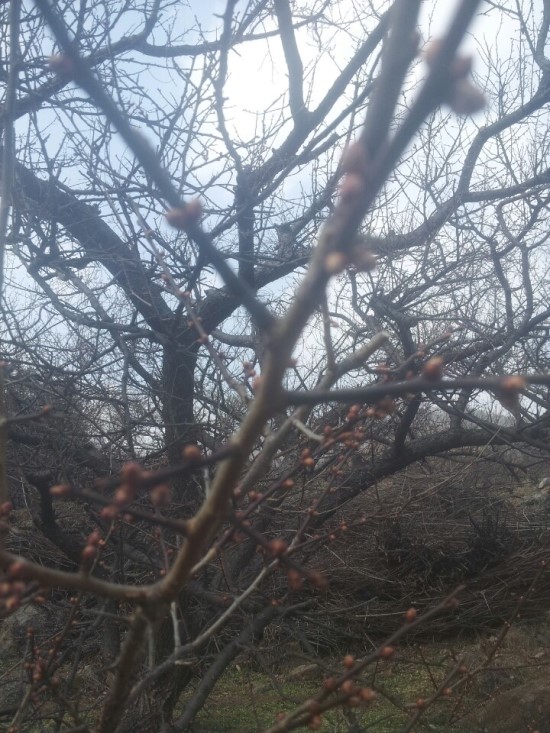 파란들농원 이미지