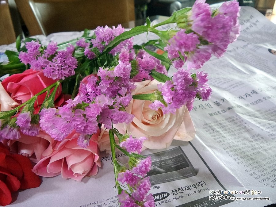 세교화원 이미지