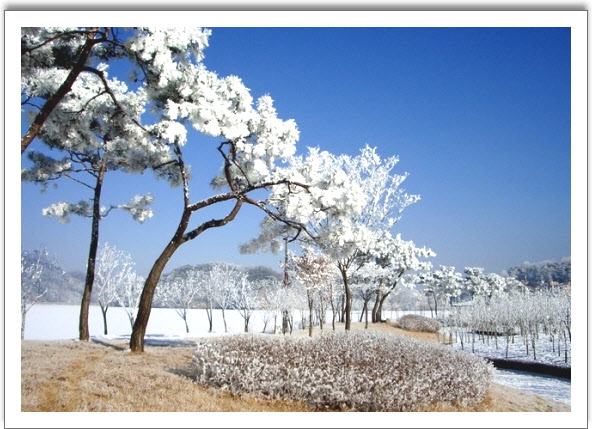 겨울전기 이미지