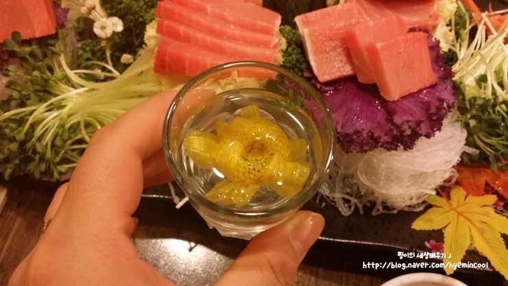 해적참치 이미지
