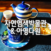 아영다원 이미지