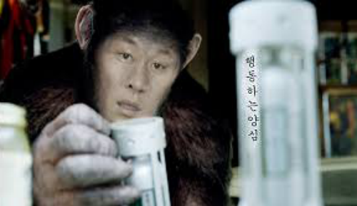 반우 이미지