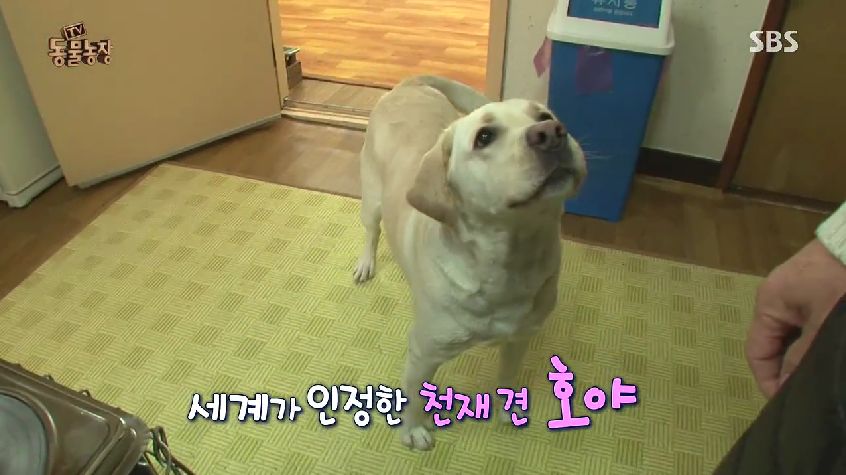 호야농장 이미지