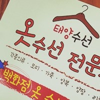 태양수선 이미지
