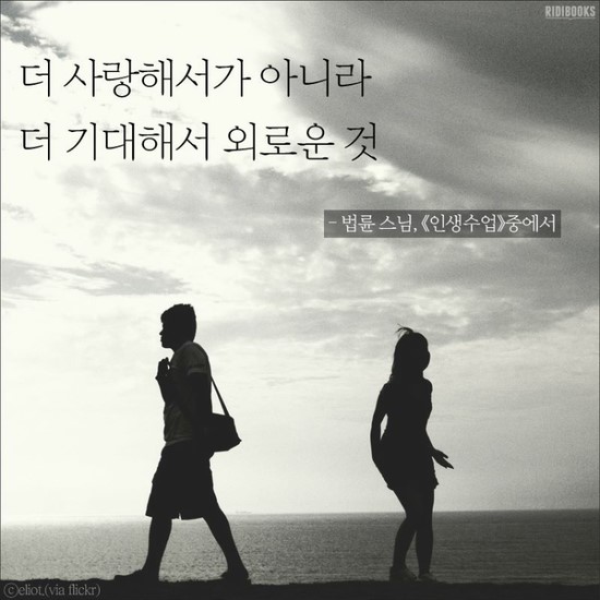 팡도르 이미지