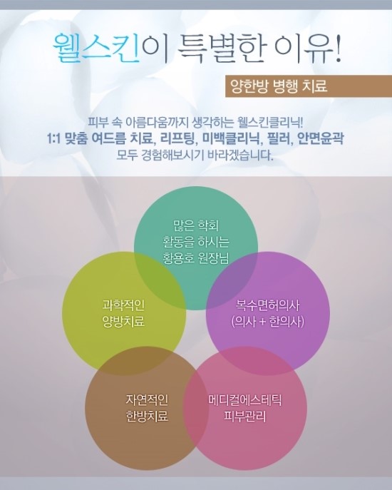 웰스킨 이미지