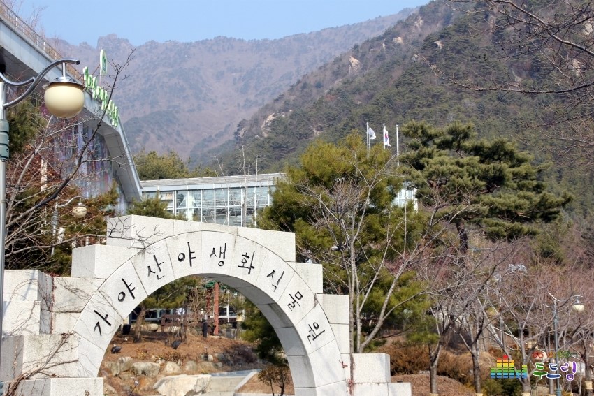가야산식품 이미지