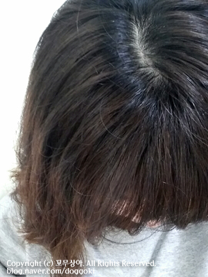 쿠치헤어 이미지