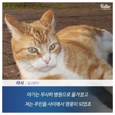 마샤 이미지