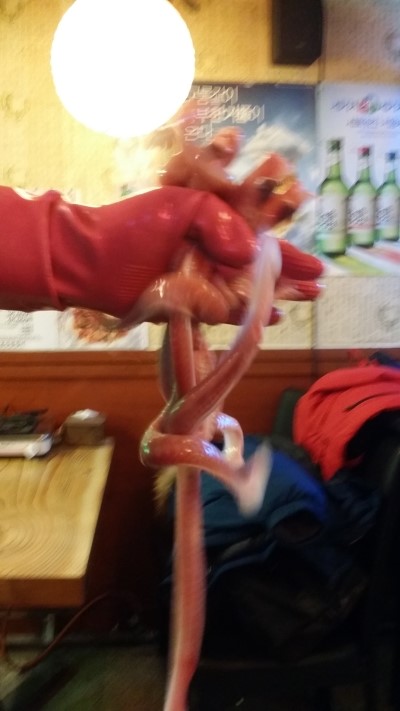 산꼼장어 이미지