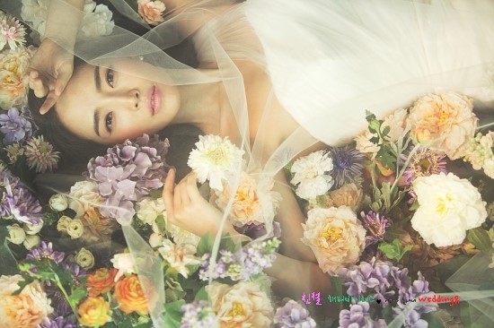 스쿠터꽃 이미지