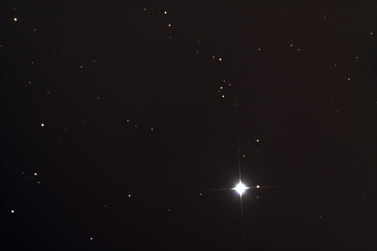 레굴루스(Regulus) 이미지