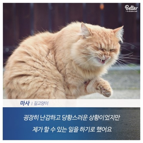 마샤 이미지