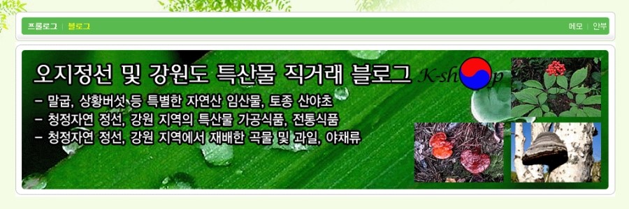 정선아리아리원 이미지