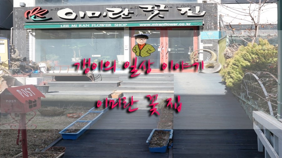 이미란꽃집 이미지