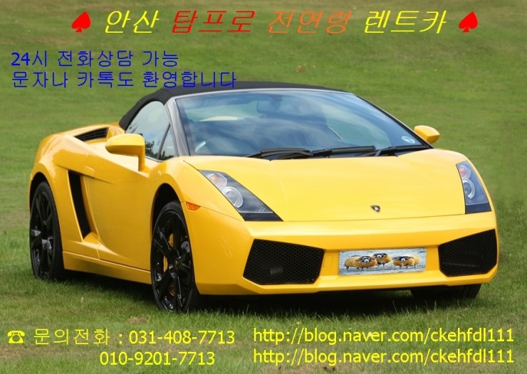프로렌트카 이미지