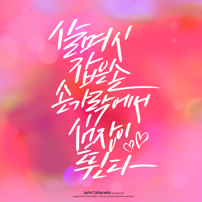 캘리송 이미지