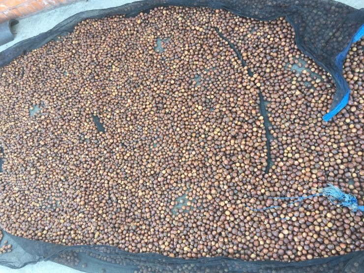 경기식당 이미지