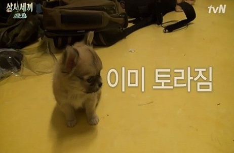 즉석떡볶이전문점 이미지