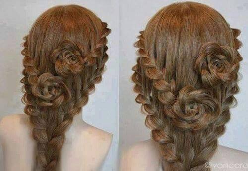벨헤어 이미지