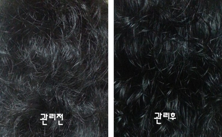 헤어그리너 이미지