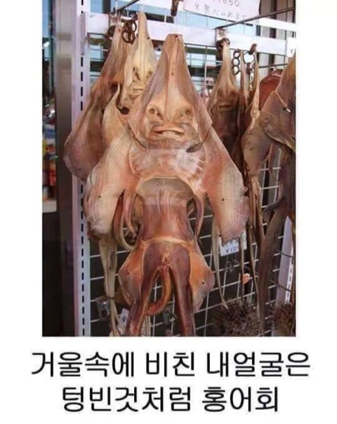 다미향 이미지