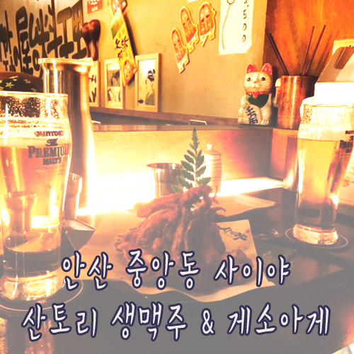 사이야안산 이미지