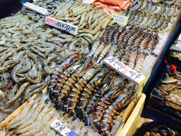 오빠수산 이미지