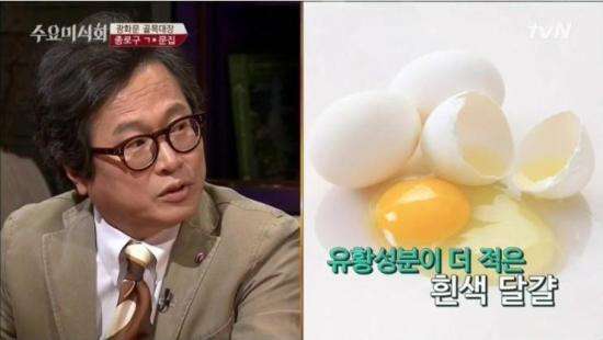 계란나라 이미지