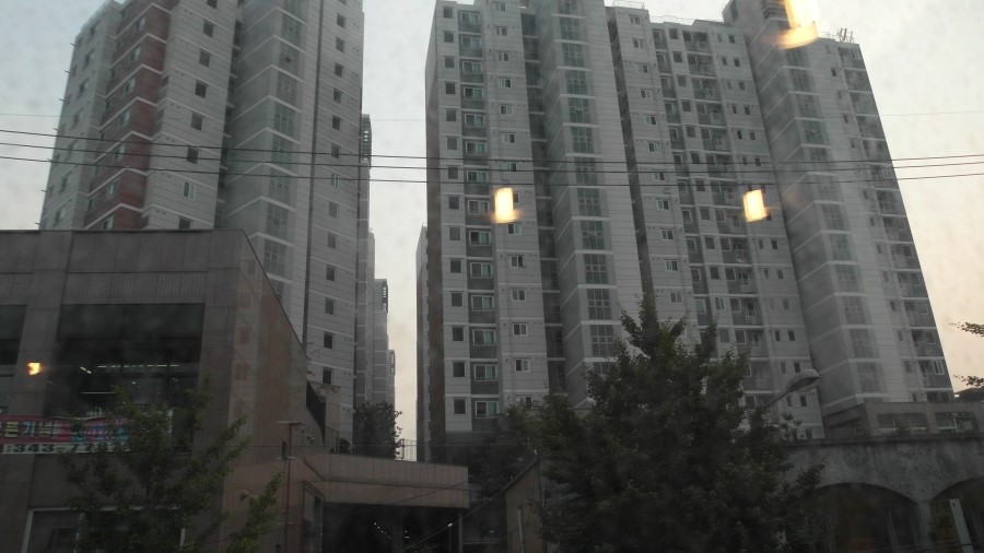 쪼계찜닭 이미지