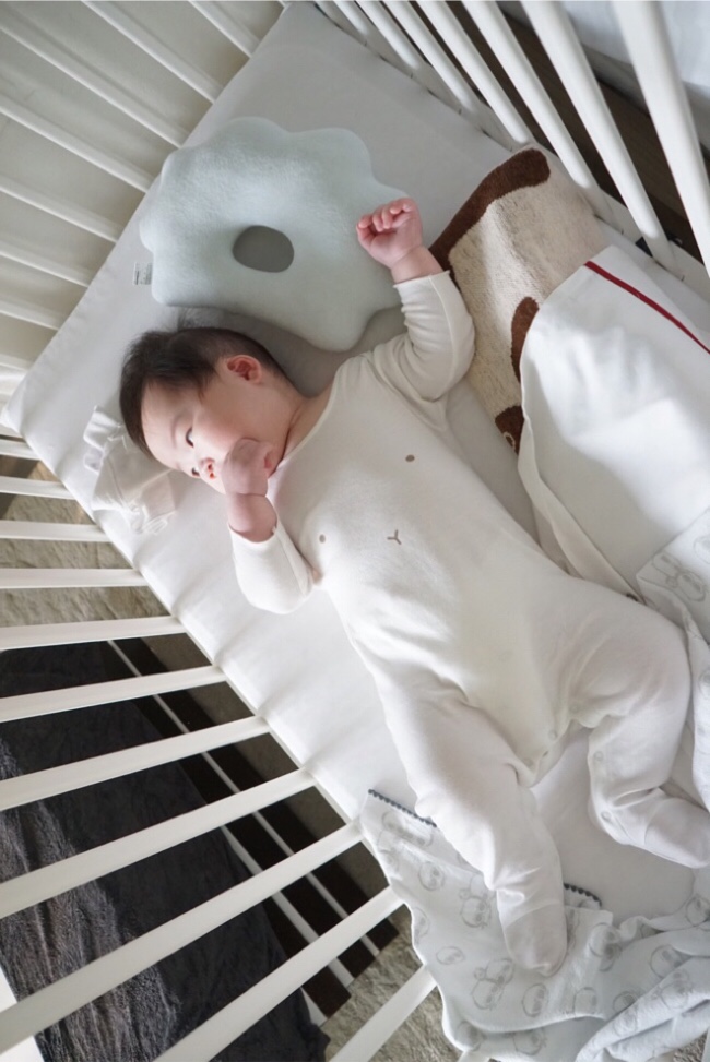 하담전 이미지