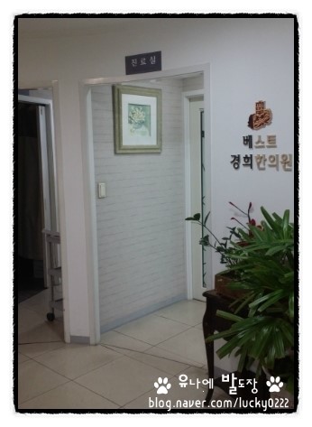 베스트경희한의원 이미지