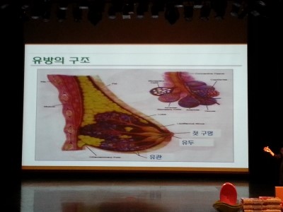 먹세포차 이미지