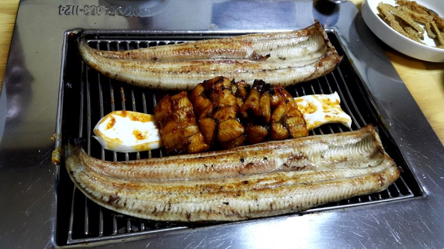 여자만민물장어 이미지