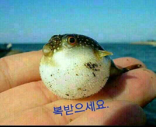 디자인감 이미지
