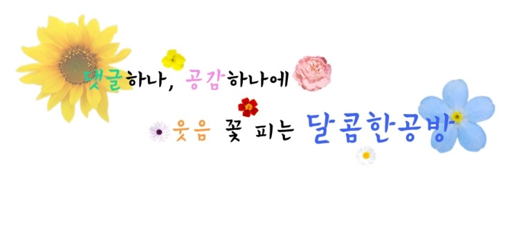 샬롯에스테틱 이미지