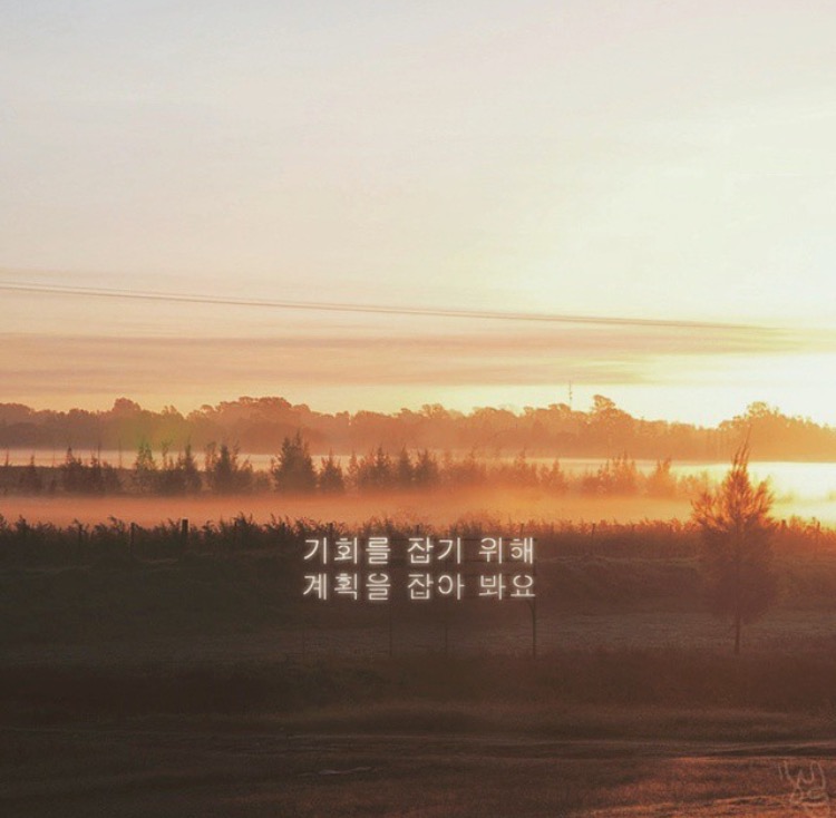네네치킨피자 이미지