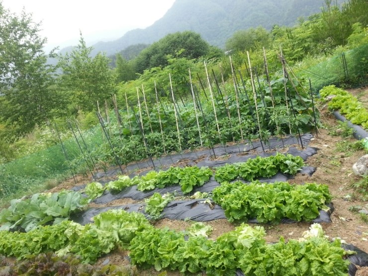 선애황토방 이미지