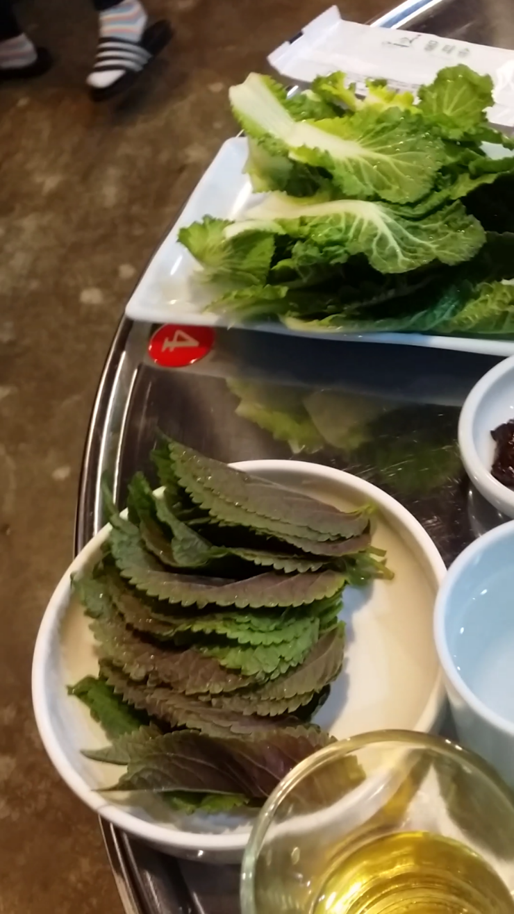 동해포차차 이미지