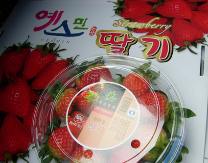 벧엘농장 이미지