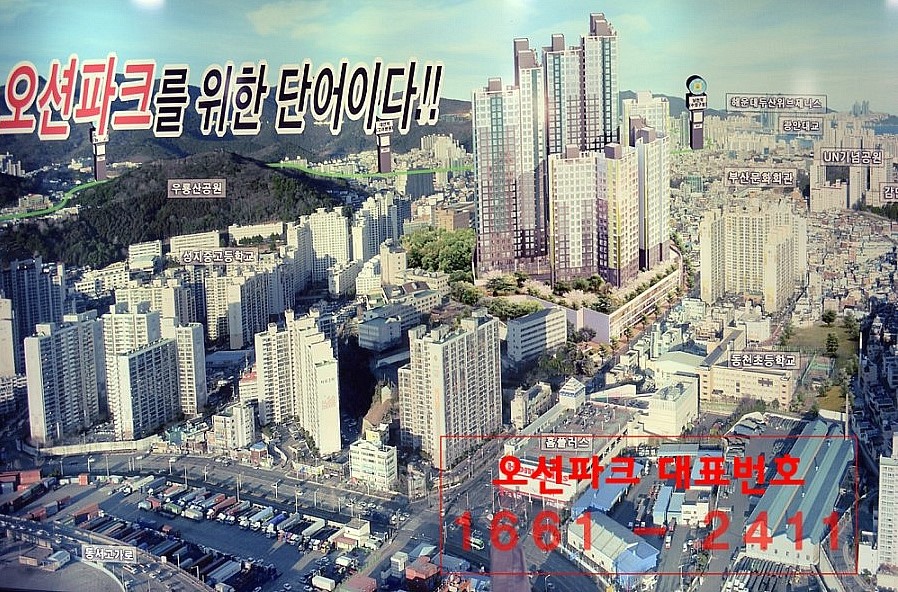 골드 D&C 이미지