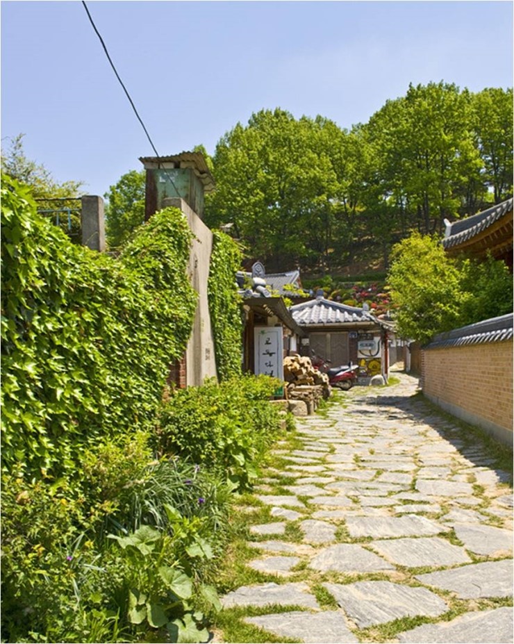 교동다원 이미지