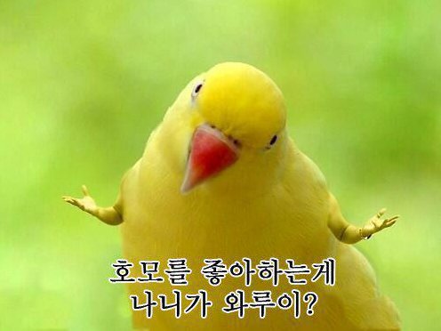 코우 이미지