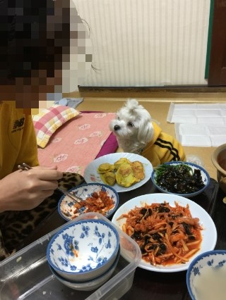 코코멍 이미지