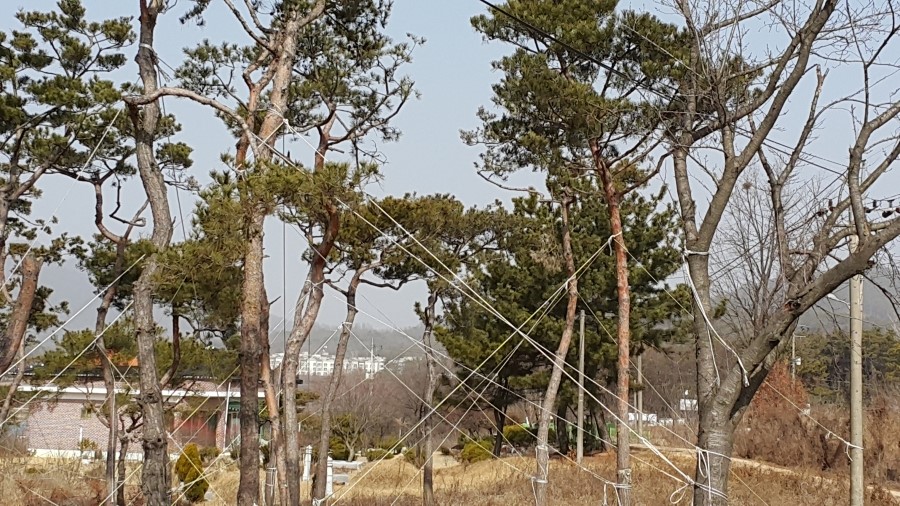 금마조경 이미지