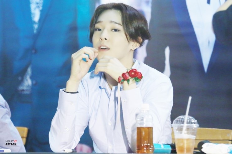 너는나의꽃 이미지