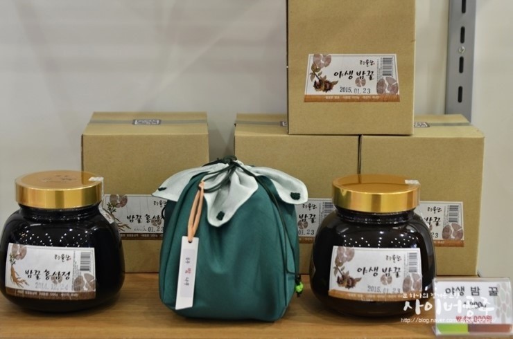 공주밤나무 이미지