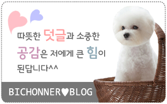 두둥 이미지